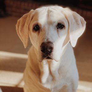 Meet your Posher, Jack